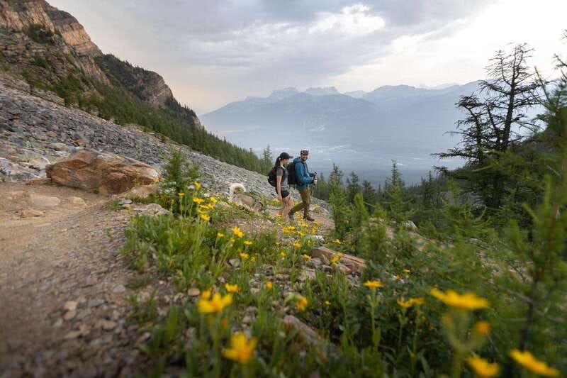 banff-edible-and-medicinal-plants-nature-walk