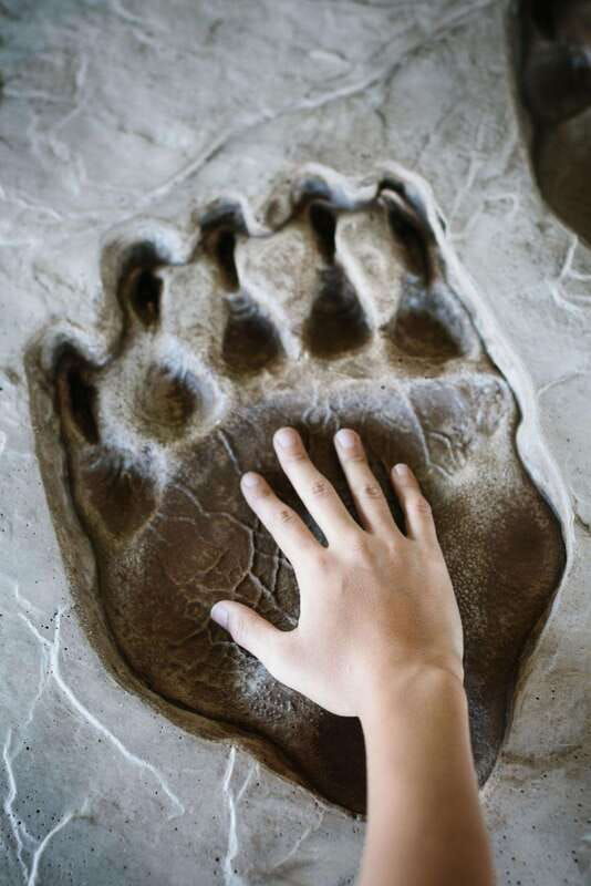 banff-history-tour-with-private-group-museum-tours-entry