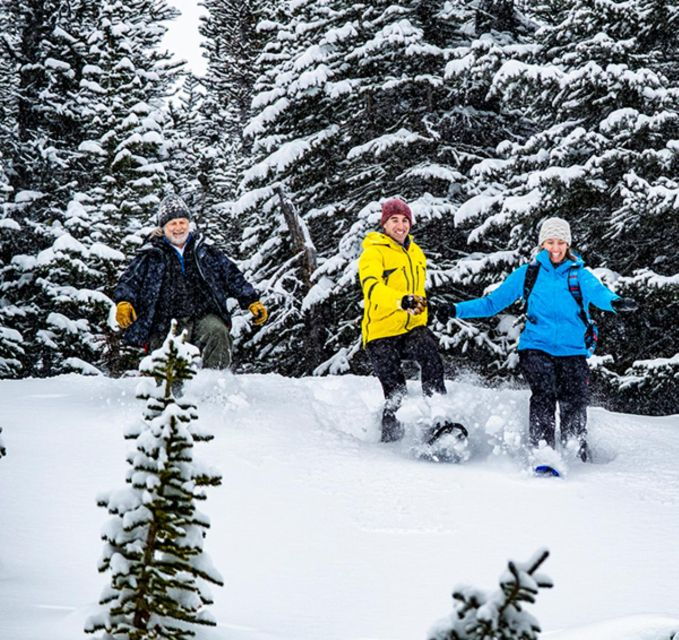 banff-jasper-canadian-rockies-helicopter-snowshoe-tour