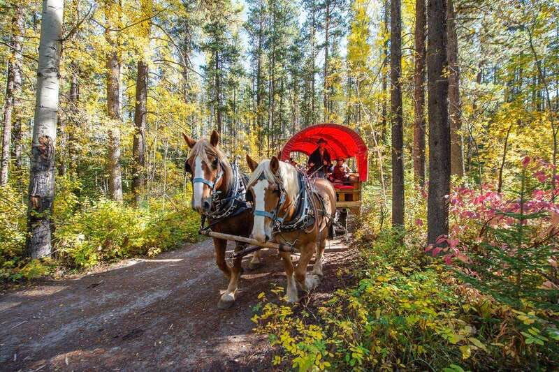 banff-wagon-ride-with-cowboy-cookout-bbq