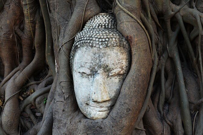 Bangkok plus Ayutthaya and Khao Yai (Private 4 days) - What Sets This Tour Apart?