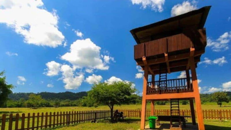 banyuwangi-2-day-adventure-with-baluran-national-park