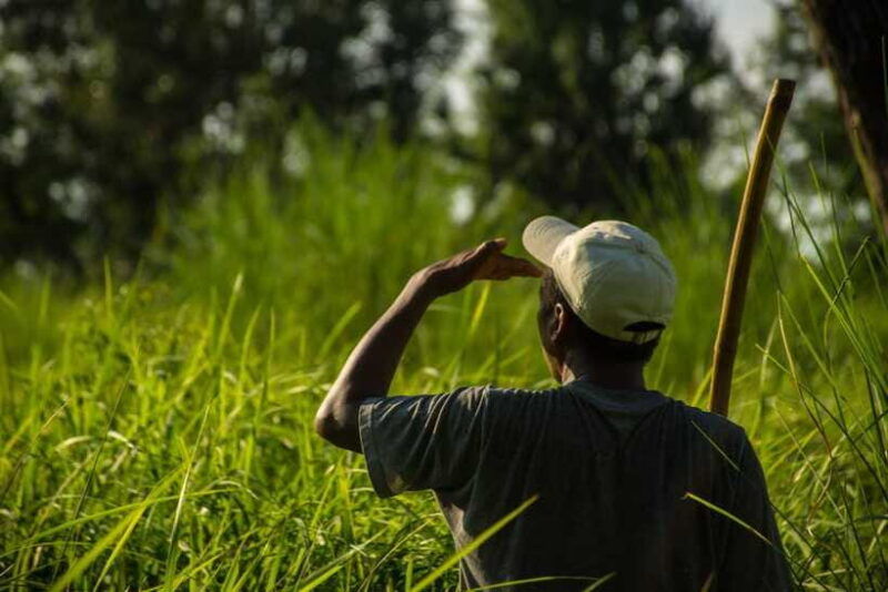 bardiya-national-park-treehouse-stay-with-wildlife-safari