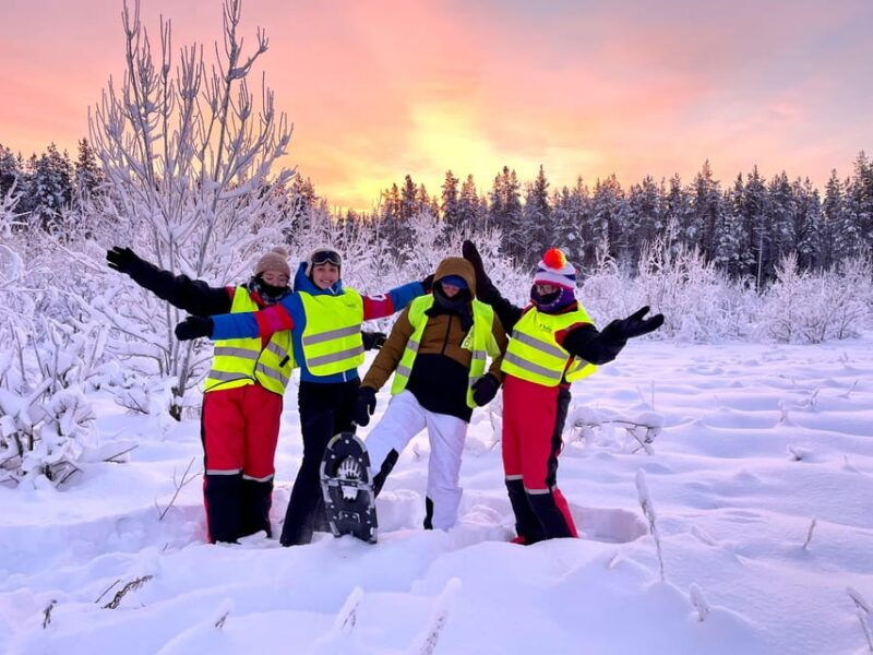 bardufoss-snowshoe-hike-to-norways-national-waterfalls