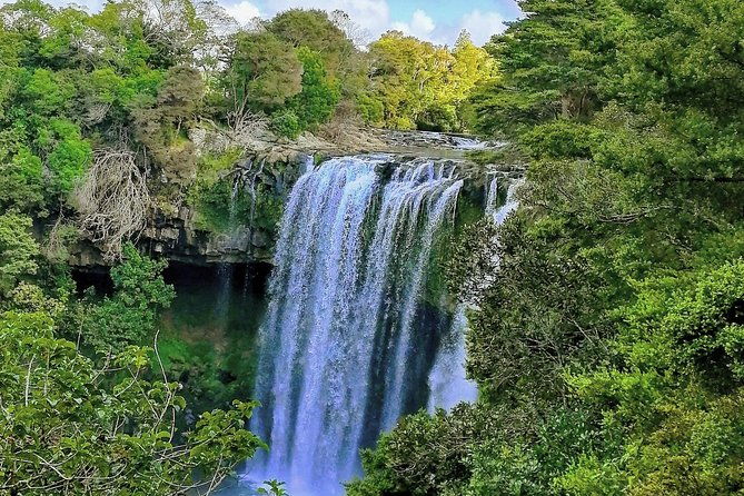 Bay of Islands Half-Day Private Tour - FAQ