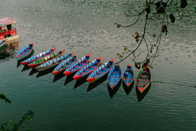 begnas-lake-freshwater-fish-hunt-culinary-experience