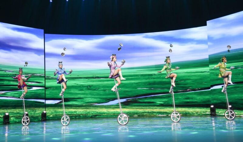 beijing-night-tour-with-acrobatics-show-pekingduck-dinner
