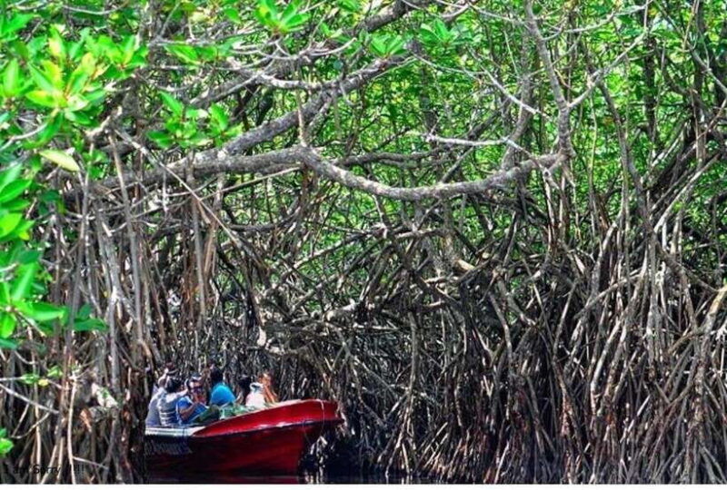 bentota-all-inclusive-galle-dutch-fort-madu-river-safari