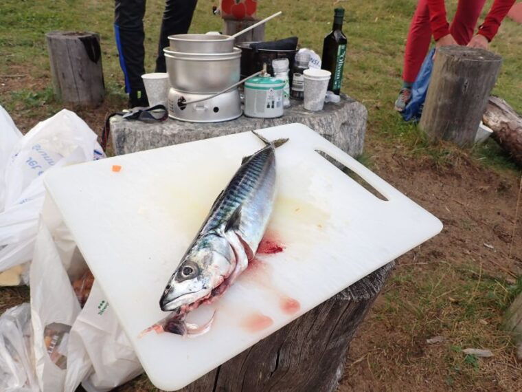 bergen-guided-fishing-tour-with-outdoor-cooking