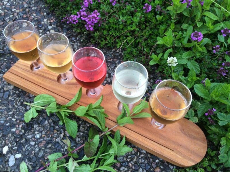 bergen-guided-fjord-cidery-tour-to-balestrand