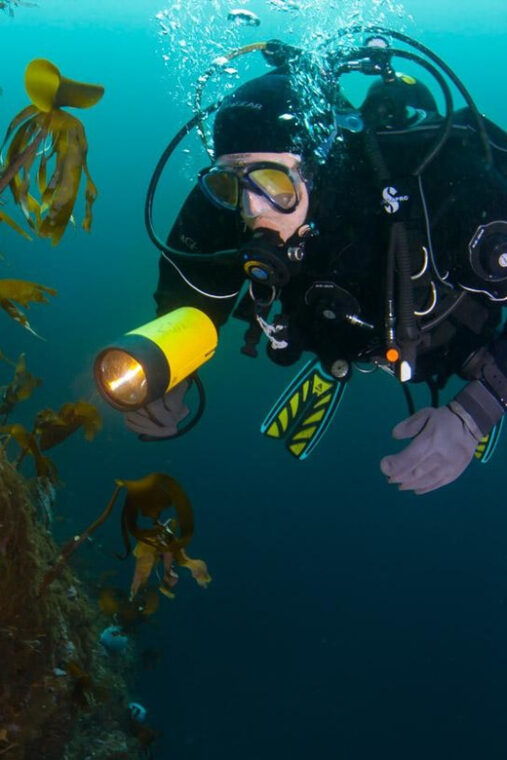 bergen-guided-scuba-diving