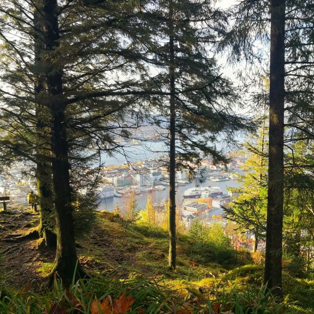 bergen-mountain-hike-on-top-of-bergen-public-tour