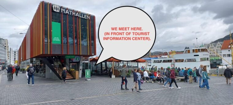 bergen-sightseeing-walking-tour-with-ferry-ride