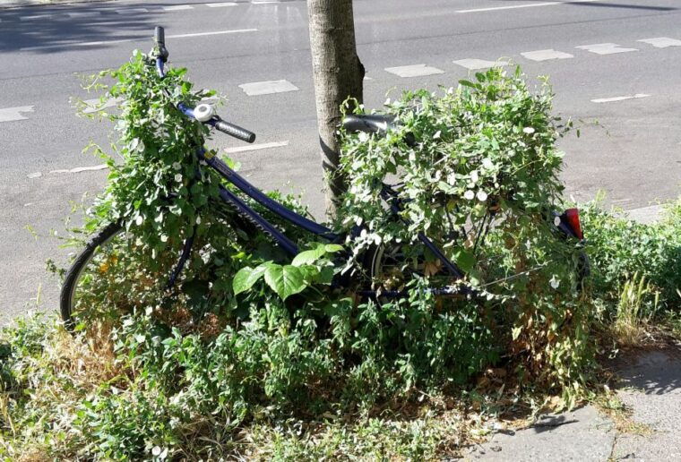 berlin-street-art-and-alternative-tour