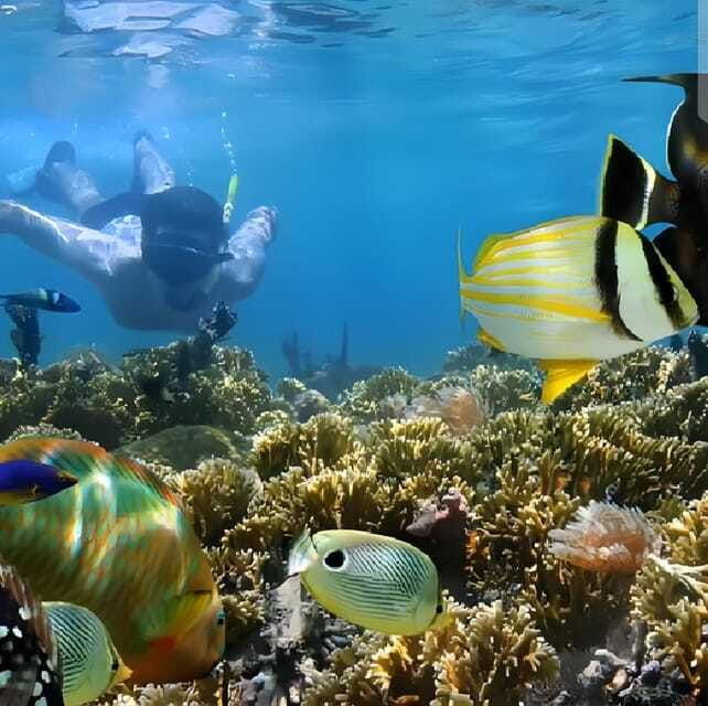 best-snorkeling-adventure-in-bali-with-exciting-activities