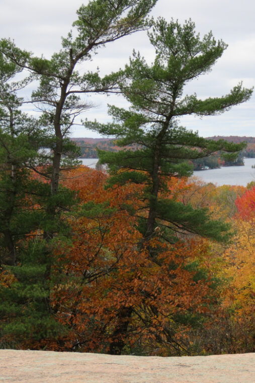 between-huntsville-and-toronto-smartphone-audio-tour