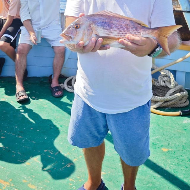 biograd-unique-fishing-excursion-on-island-vrgada
