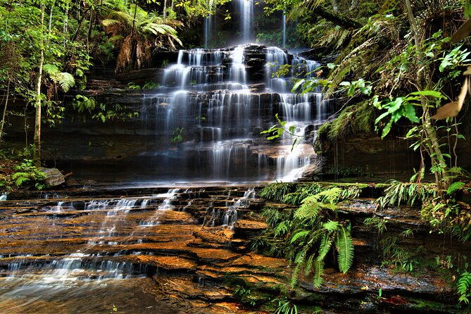 Blue Mountains Day Adventure, Featherdale Wildlife & River Cruise - FAQ