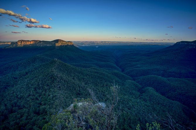 Blue Mountains Private Tour - Wildlife & Native Flora