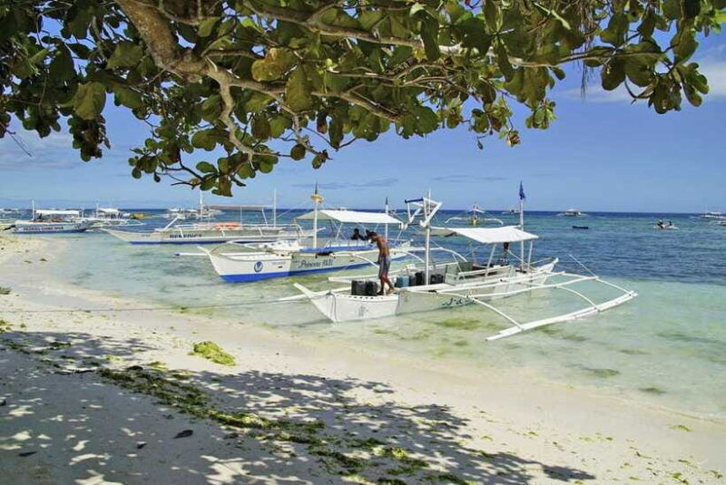 bohol-balicasag-is-private-tour-and-dolphin-watching