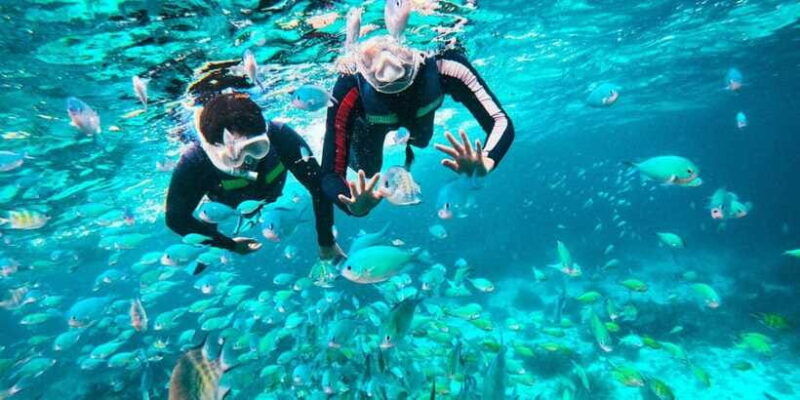 bohol-balicasag-private-island-hopping-tour