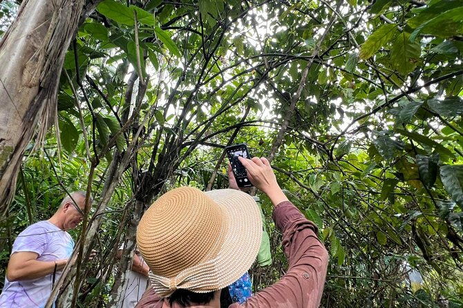 Bohol Day Tour with Round-Trip Transfers from Cebu - FAQ