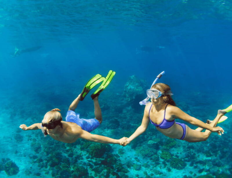 bohol-panglao-island-hopping-dolphin-watching-tour