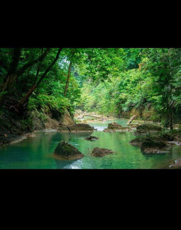 bohol-waterfall-hopping-adventure-with-jungle-trails