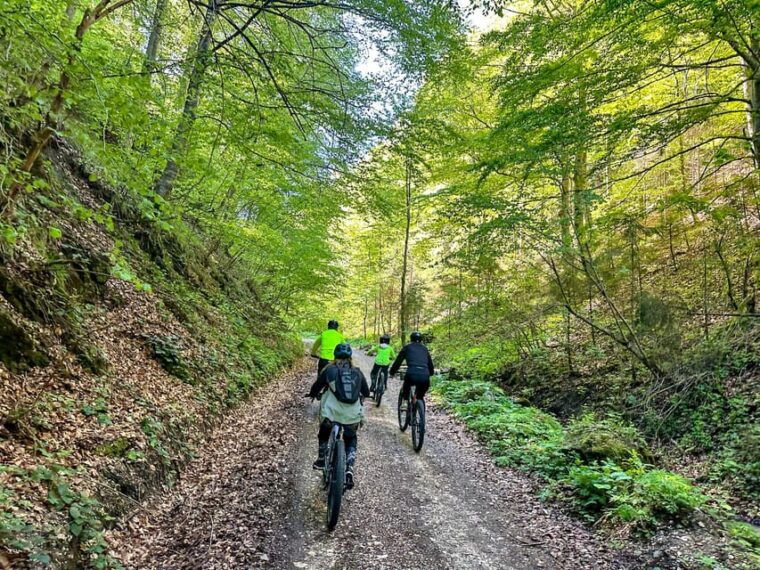 brasov-e-bike-tour-to-poiana-brasov-old-town-forest