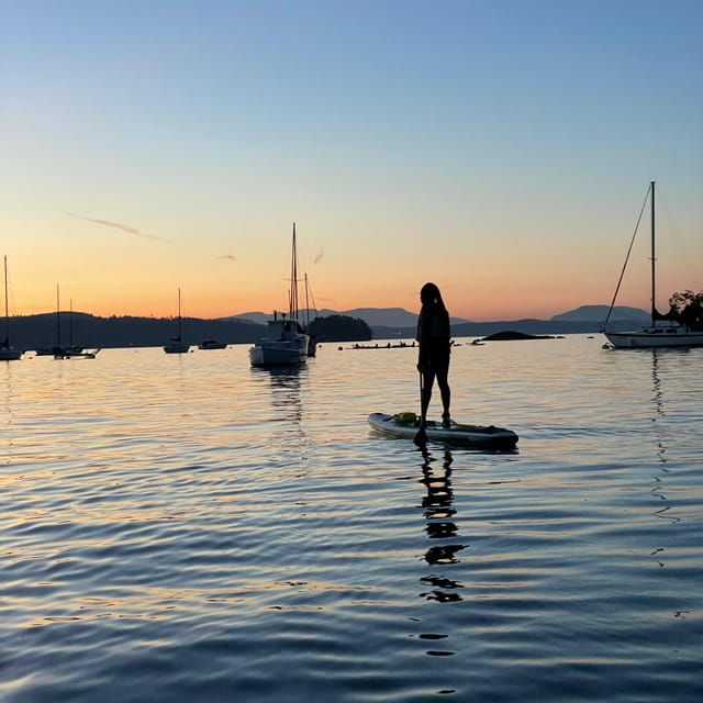 brentwood-bay-bioluminescence-tour