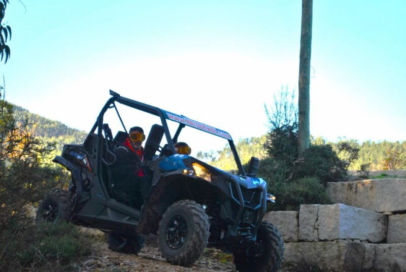 buggy-experiences