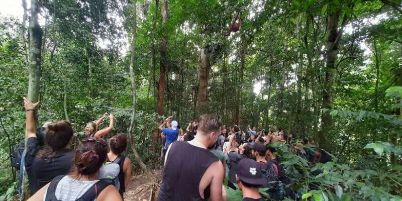 bukit-lawang-jungle-trekking-and-rafting-day-trip