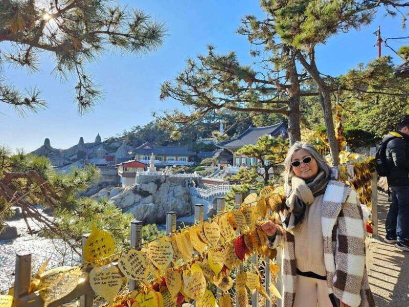 busan-private-customized-tour-with-licensed-guide-vehicle