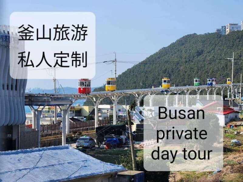 busan-private-tour