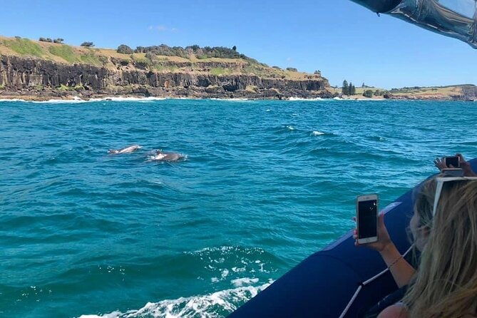 Byron Bay Dolphin Tour - Ocean Safari - Reviews: Authentic Insights