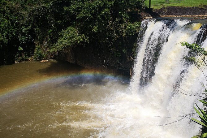 Cairns Paronella Park Herberton and Wild life Tour - Lunch and Other Inclusions