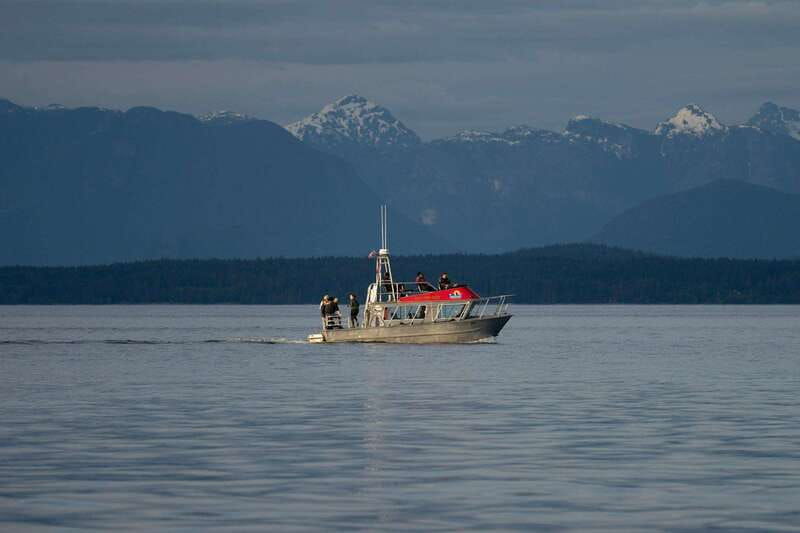 campbell-river-6-hour-whale-watching-boat-tour