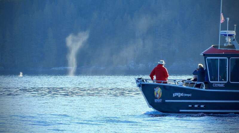 campbell-river-deluxe-grizzlies-indigenous-culture-tour