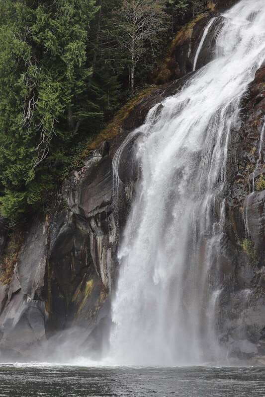 campbell-river-spring-bear-watching-waterfalls-boat-tour