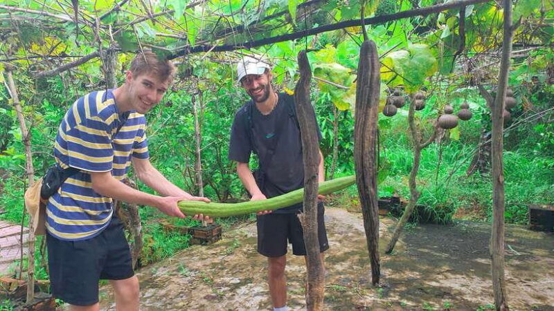can-tho-countryside-cycling-tour-with-cocoa-farm-visit