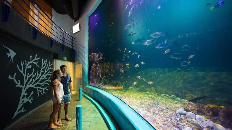 cancun-interactive-aquarium-admission-dolphin-presentation
