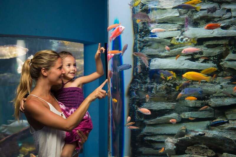 cancun-interactive-aquarium-admission