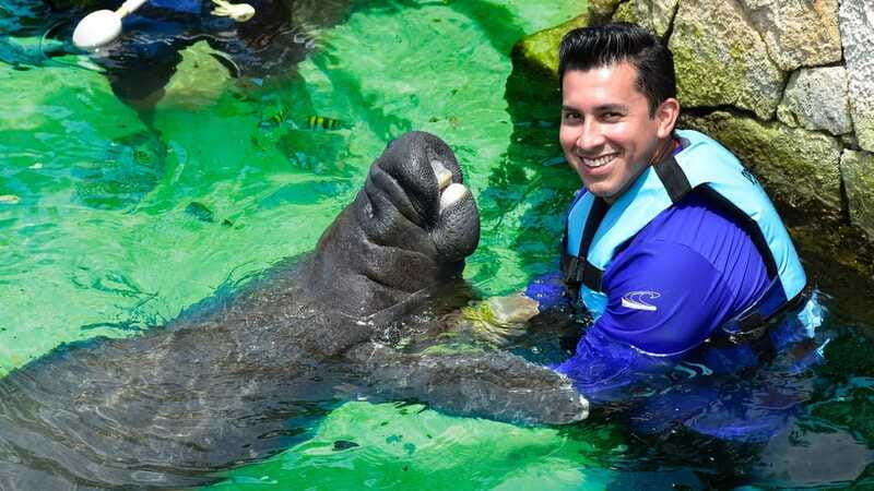 cancun-manatee-encounter-on-isla-mujeres-with-buffet-lunch