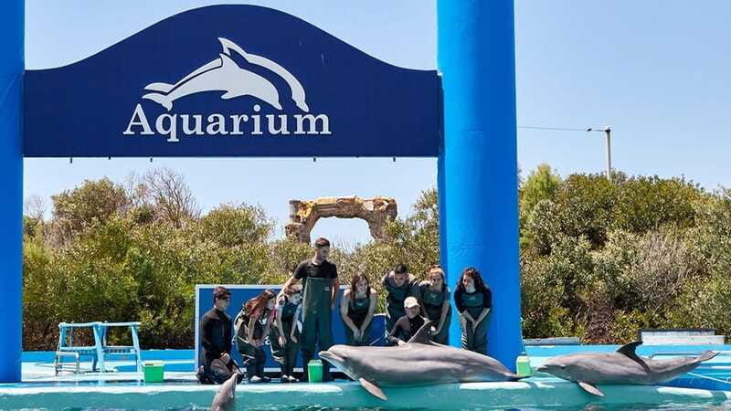 cancun-ticket-for-the-interactive-aquarium