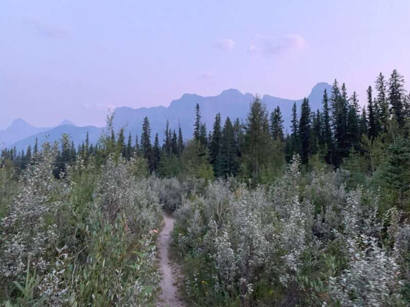 canmore-private-safari-drive-to-banff-park-nature-walk