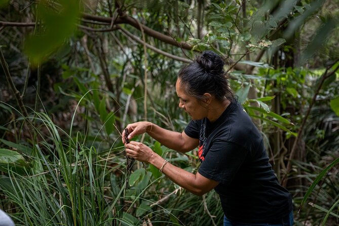 Cape Byron Aboriginal Tour - FAQs