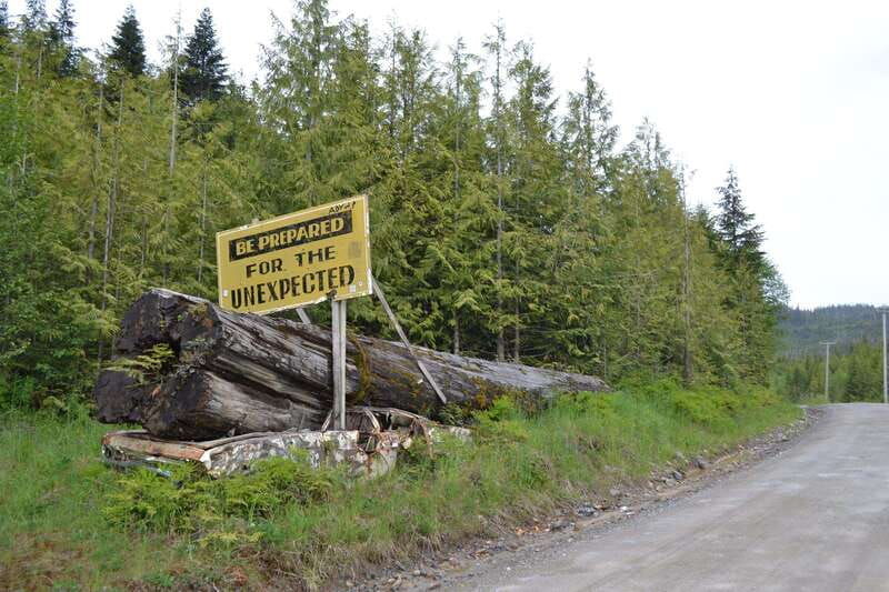 cape-scott-san-josef-bay-day-hike-with-scenic-drive