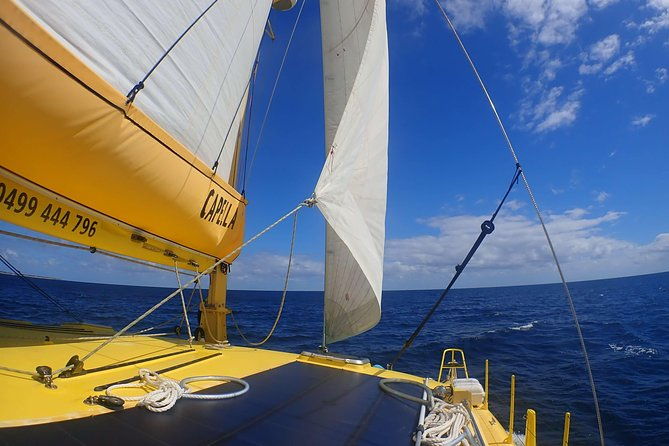 Carnac Island Half Day Sail - Final Thoughts