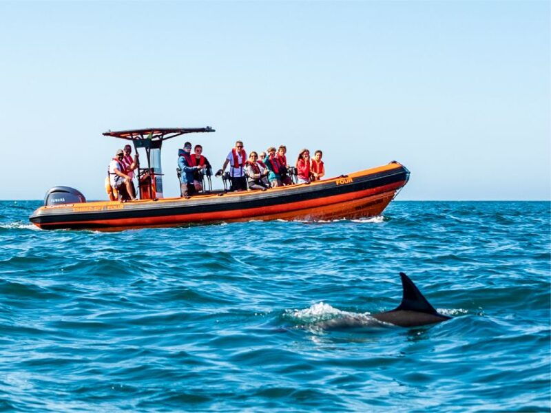 cascais-dolphin-watching-tour-2