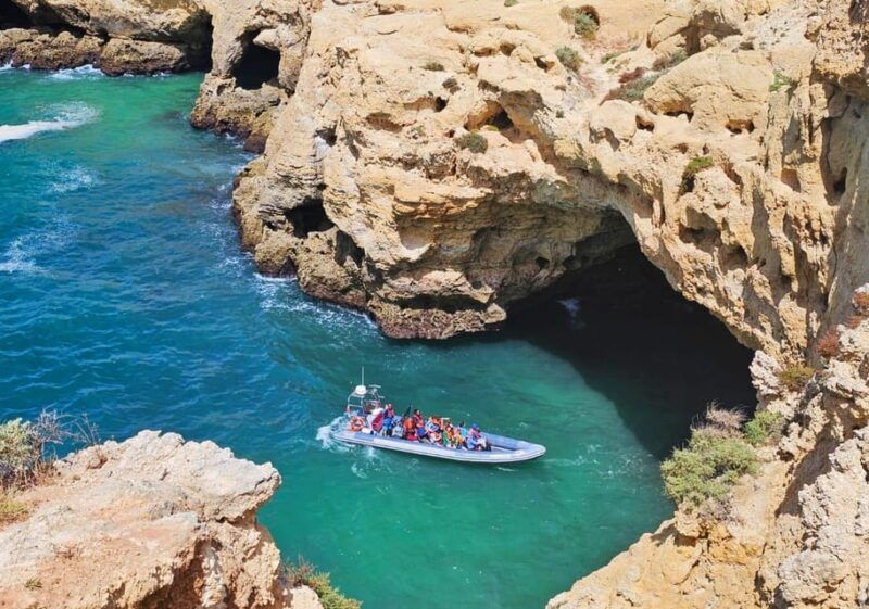 caves-dolphins-combined-trip